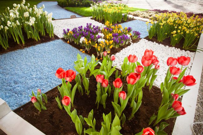 Fiera di Pordenone - GreenVeronica